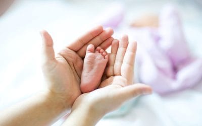 Les origines de CellRelease®